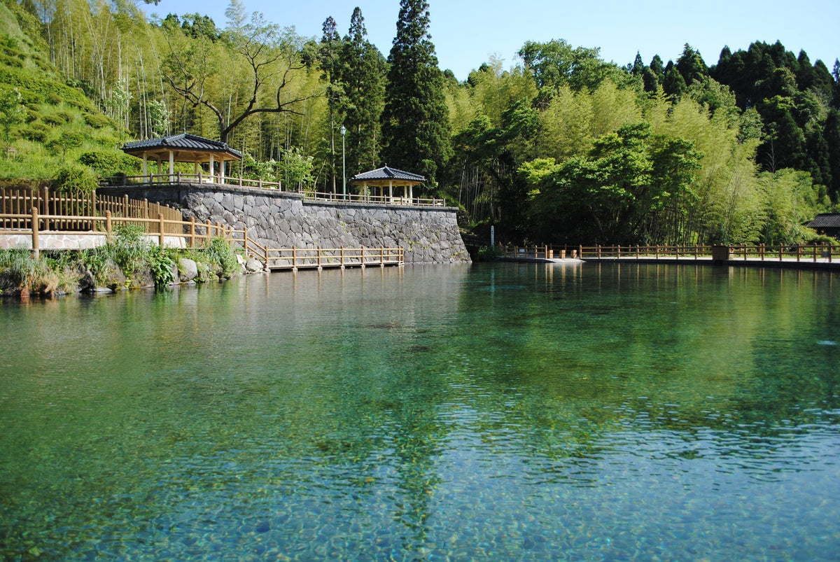丸池湧水