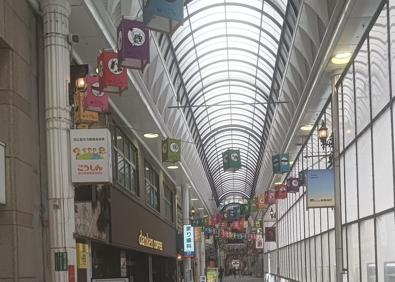 かごしまイージーバスツアー桜島SENがん園・天文館