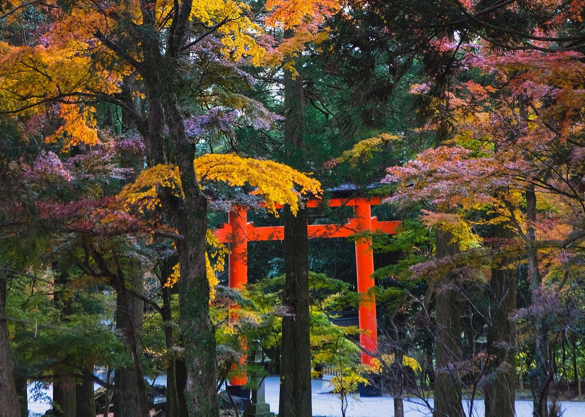 鹿兒島私人客製化半日遊