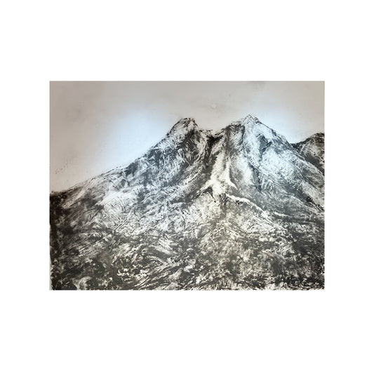 LIVE ART (SAKURAJIMA)