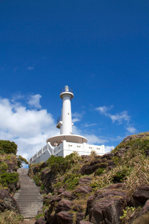 長崎鼻 （ナガサキバナ）