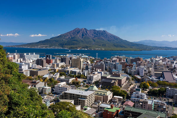城山公園（展望台・自然遊歩道） （シロヤマコウエン（テンボウダイ・シゼンユウホドウ））