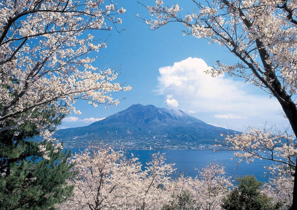 A one-day gourmet adventure in Kagoshima by rental car 