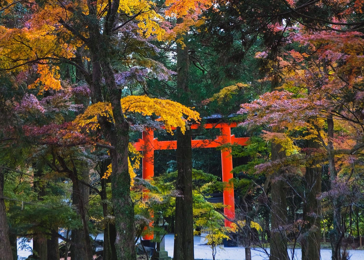 鹿兒島私人訂製一日遊