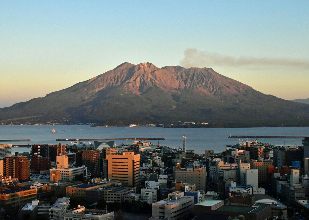鹿兒島私人岸上觀光：櫻島、仙巖園