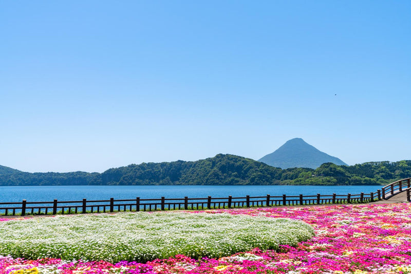 池田湖