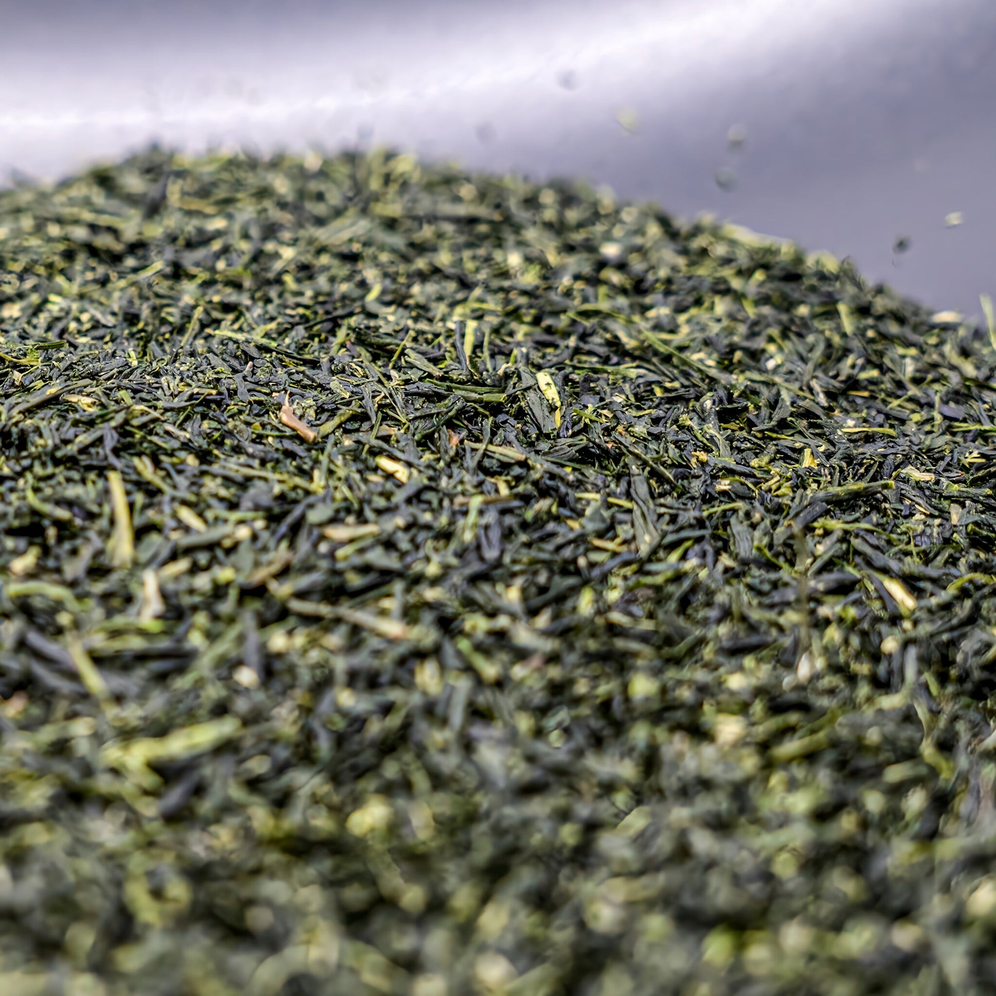 香り立つ鹿児島産日本茶「日置茶」の抽出シーン｜Japan Satsumaのサステナブルな一杯